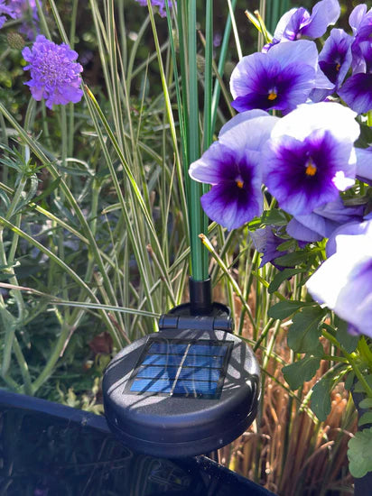 GlowPampas — Solar Reed Lamp