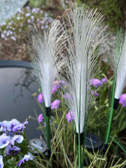 GlowPampas — Solar Reed Lamp