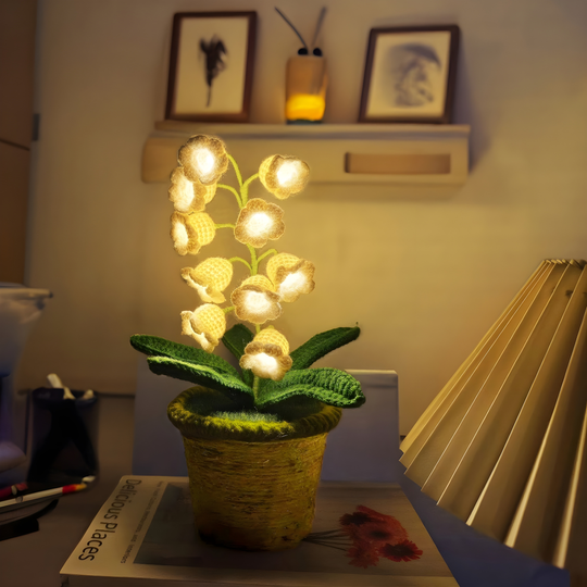 EverLily Lamp