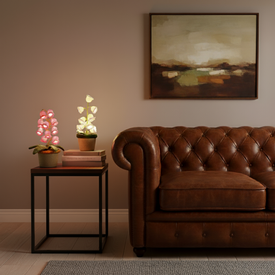 EverLily Lamp