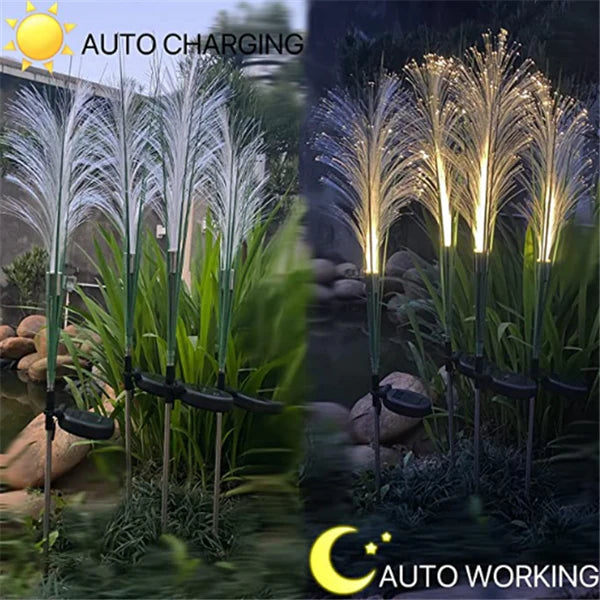 GlowPampas — Solar Reed Lamp