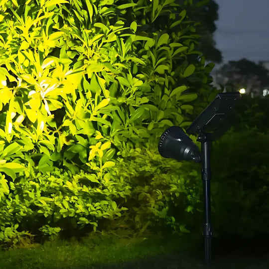 CreativeLighting — Zonne-energie Spotlight