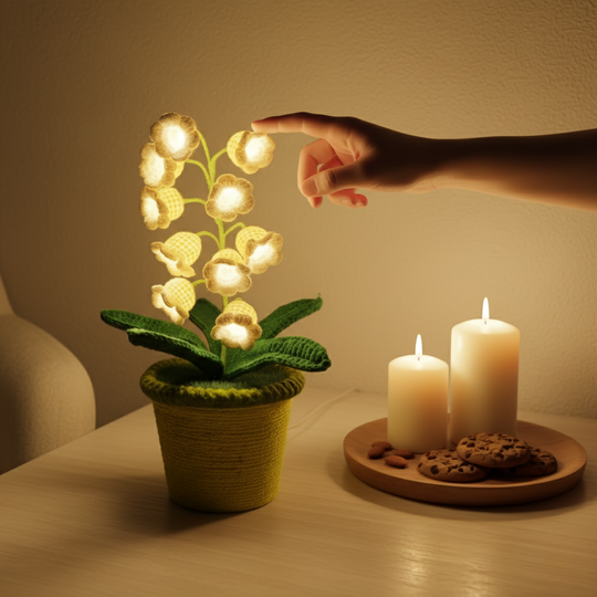 EverLily Lamp